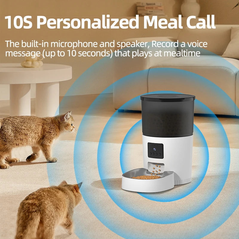 Smart automatic Cat Feeder With Video