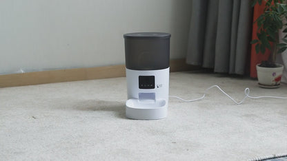 Smart automatic Cat Feeder With Video